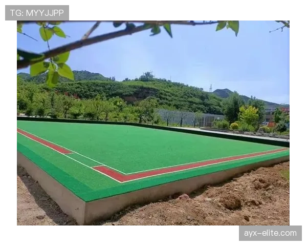草坪场地规则拆解：标准尺寸与质量如何影响比赛判罚